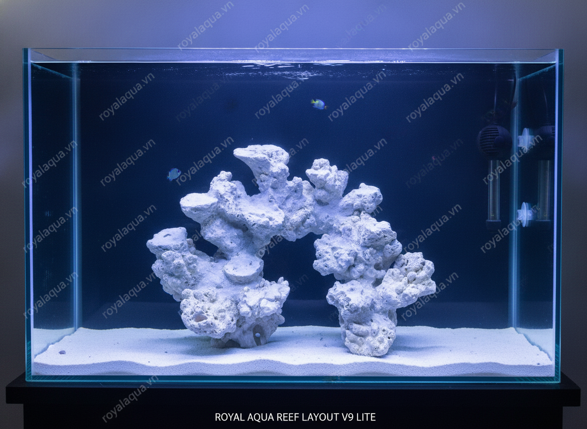ma-41-layout-ca-bien-be-40cm-layout-ban-chay-gemini-featured-web