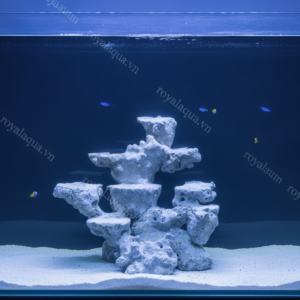 Layout Cá Biển Bể 40cm Mẫu Thực Tế – Mã 51