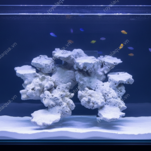 Layout Cá Biển Chuyên Reef SPS LPS Bể 40cm – Mã 53