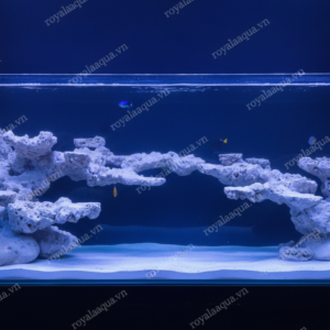 Layout Cá Biển Bể 170cm Tối Ưu Không Gian San Hô – Mã 54