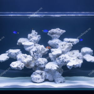 Layout Cá Biển Bể 60cm Tối Ưu Hệ Reef – Mã 55