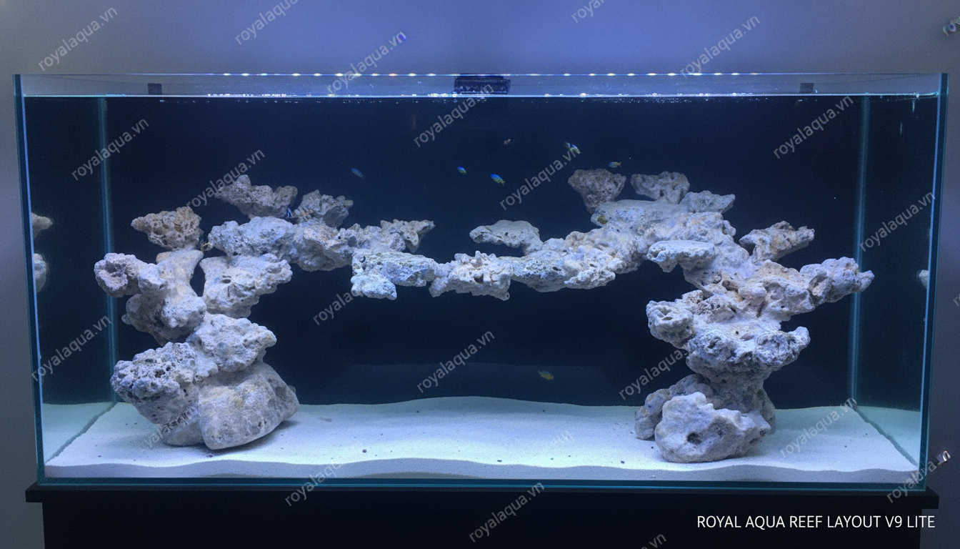 ma-56-layout-ca-bien-be-150cm-phu-hop-ho-reef-hien-dai-gemini-featured-web