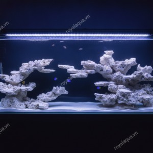 Layout Bể Cá Biển Thiết Kế Thoáng Nước 150cm – Mã 62