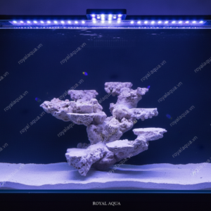 Layout Cá Biển Bể 40cm Thiết Kế Khoa Học – Mã 64