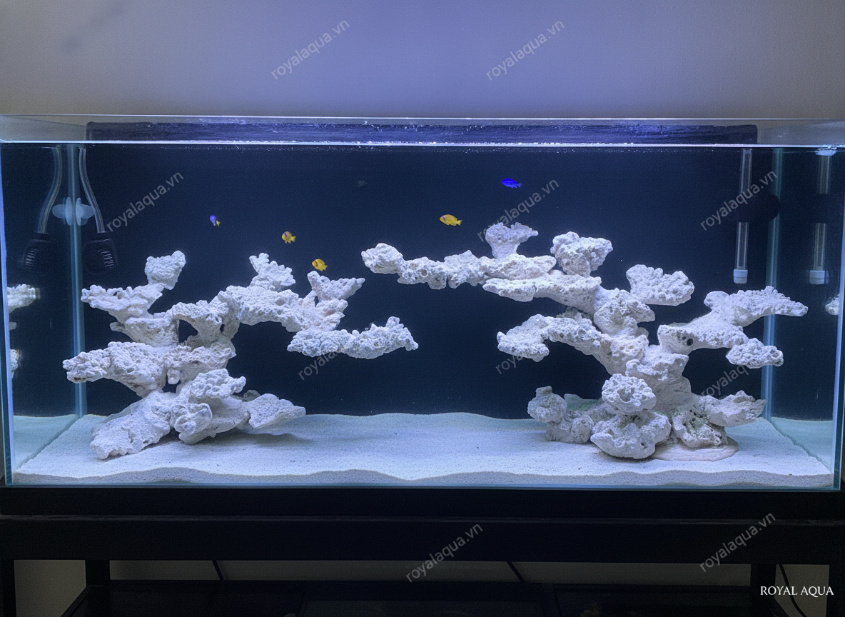 ma-72-layout-ca-bien-be-150cm-dang-da-tu-nhien-gemini-featured-web