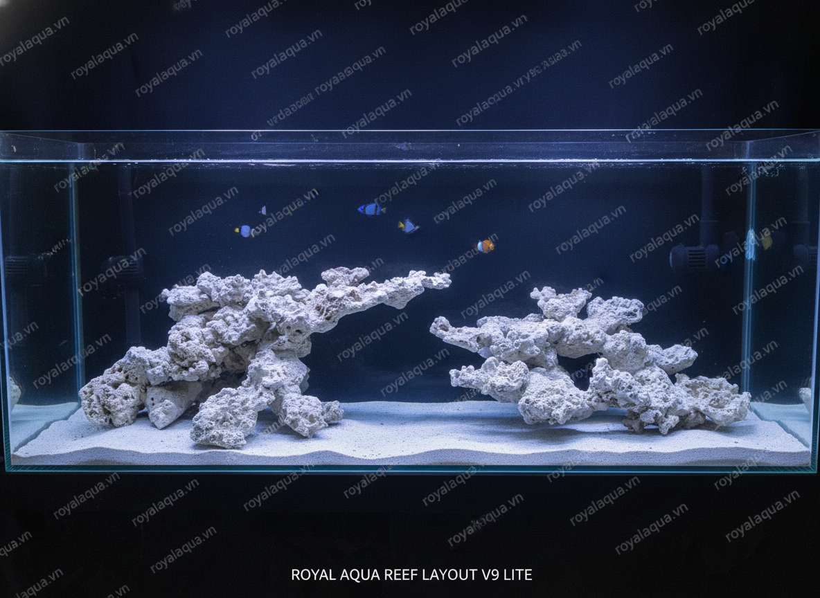 ma-74-layout-ca-bien-be-120-150cm-phong-cach-bien-hien-dai-gemini-featured-web