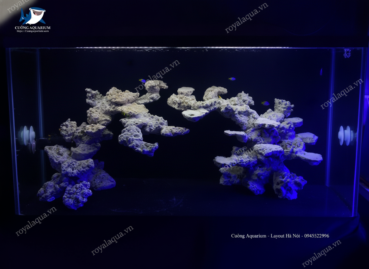 ma-75-layout-ca-bien-be-120cm-mau-layout-duoc-ua-chuong-gemini-featured-web