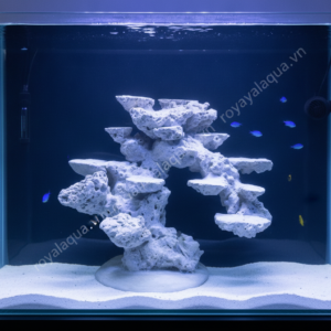 Layout Cá Biển Bể 40cm Mẫu Thực Tế – Mã 78