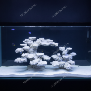 Layout Cá Biển Bể 90cm Tối Ưu Hệ Reef – Mã 83