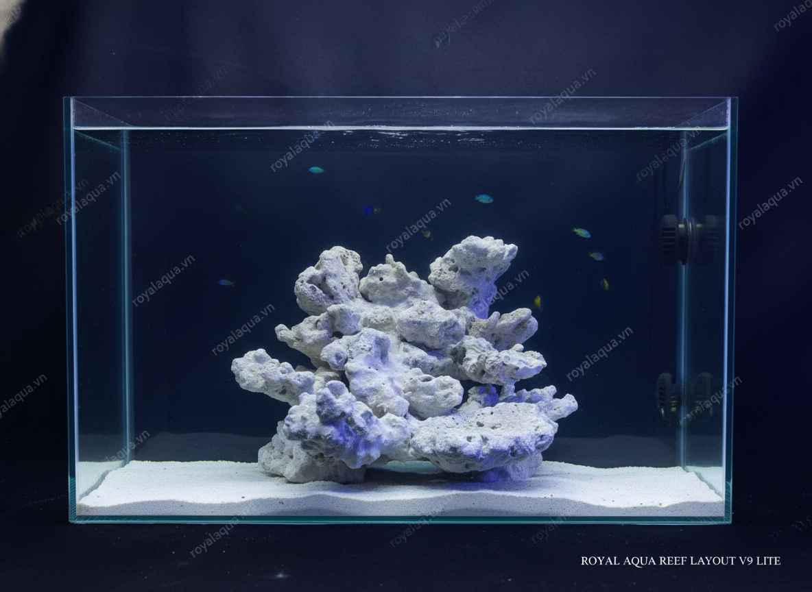 ma-84-layout-ca-bien-be-50cm-phu-hop-ho-reef-hien-dai-gemini-featured-web