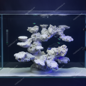 Layout Cá Biển Bể 50cm Tối Ưu Dòng Chảy – Mã 86