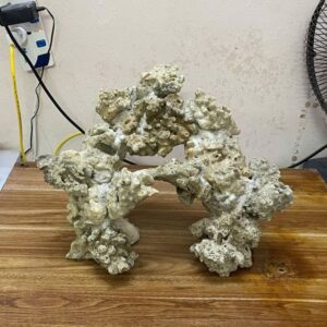 Layout Bể Cá Biển Cubic 45cm Phong Cách Hang Tự Nhiên – Mã 546