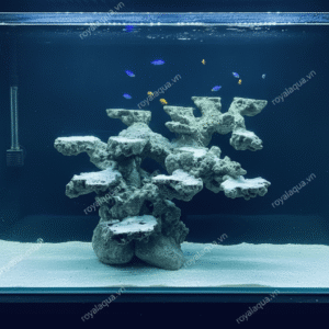 Layout Cá Biển Bể 60cm Mẫu Được Ưa Chuộng – Mã 316