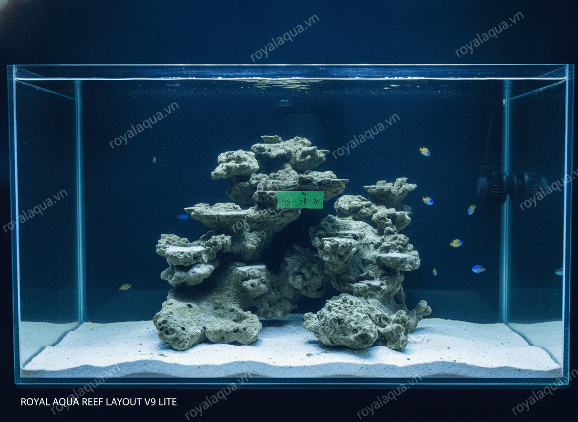 ma-318-layout-ca-bien-be-60cm-hoan-thien-ti-mi-gemini-featured-tinypng