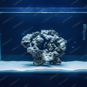 Layout Cá Biển Cubic 50cm Tối Ưu Hệ Reef – Mã 321