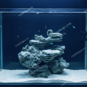 Layout Cá Biển Bể 30cm Dễ Setup Thiết Bị – Mã 331