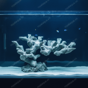 Layout Cá Biển Bể 50cm Kết Cấu Chắc Chắn – Mã 336