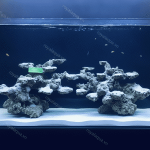 Layout Bể Cá Biển 120cm Mẫu Được Ưa Chuộng – Mã 342