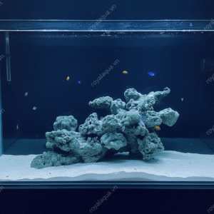 Layout Cá Biển Bể 50cm Hoàn Thiện Tỉ Mỉ – Mã 344