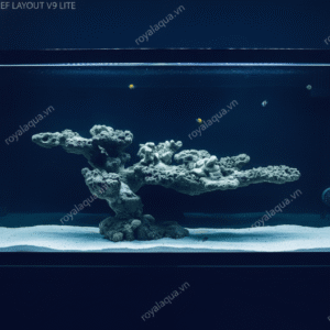 Layout Cá Biển Bể 70cm Chuyên Reef SPS LPS – Mã 345