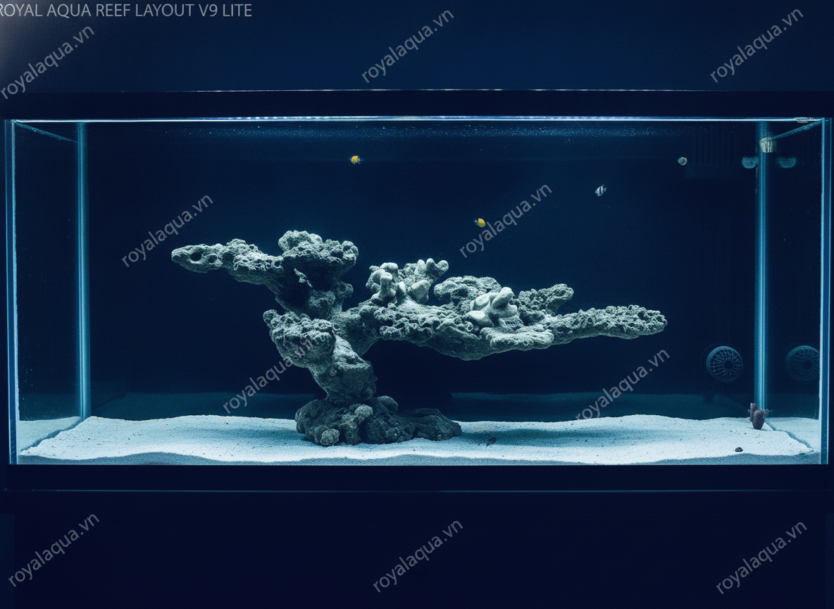 ma-345-layout-ca-bien-be-70cm-chuyen-reef-sps-lps-gemini-featured-tinypng