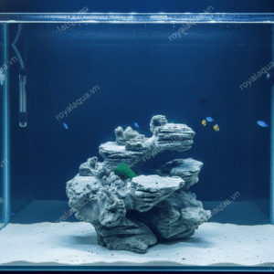 Layout Cá Biển Bể 30cm Chuyên Reef SPS LPS – Mã 371