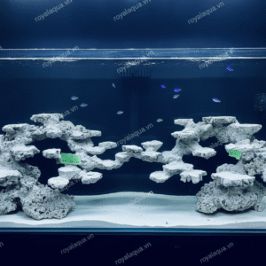 Layout Cá Biển Bể 150x60x60cm Tối Ưu Hệ Reef – Mã 373