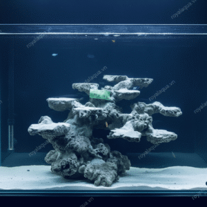 Layout Cá Biển Bể 40cm Phù Hợp Hồ Reef Hiện Đại – Mã 374