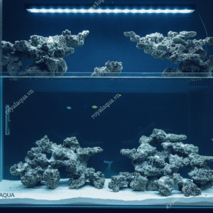 Layout Cá Biển Bể 180cm Đã Hoàn Thiện – Mã 385