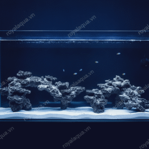 Layout Cá Biển Bể 150cm Phù Hợp Hồ Reef Hiện Đại – Mã 401