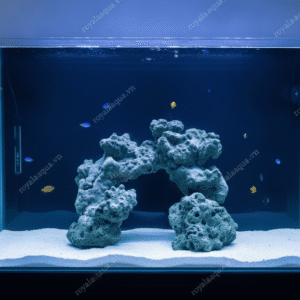 Layout Cá Biển Bể 30cm Tối Ưu Dòng Chảy – Mã 403