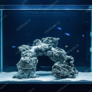 Layout Cá Biển Bể 30cm Thoáng Luồng Hiệu Quả – Mã 405
